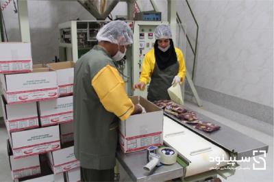 طرح توجیهی احداث واحد بسته بندی گیاهان دارویی و بسته بندی و تهیه دارو